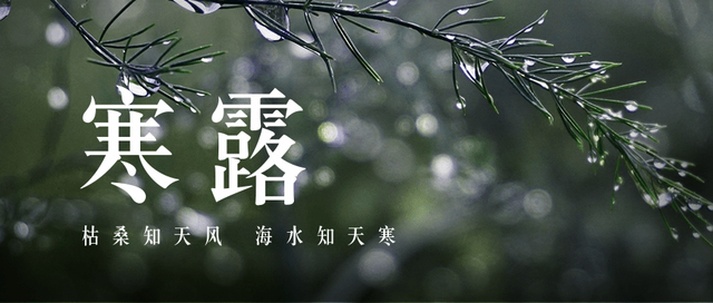 ��¶|�������綯�����ຮ¶��